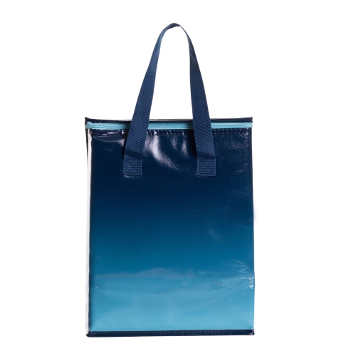 Planet E Reusable Grocery Shopping Bags – Colorful Collapsible Insulated Zippered Coolers