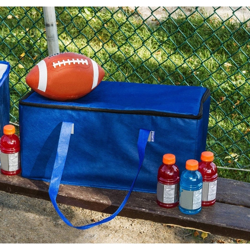 Planet E Reusable Grocery Shopping Bags – Trunk Size Extra Large Collapsible Insulated Zippered Coolers with Reinforced Bottoms Made of Recycled