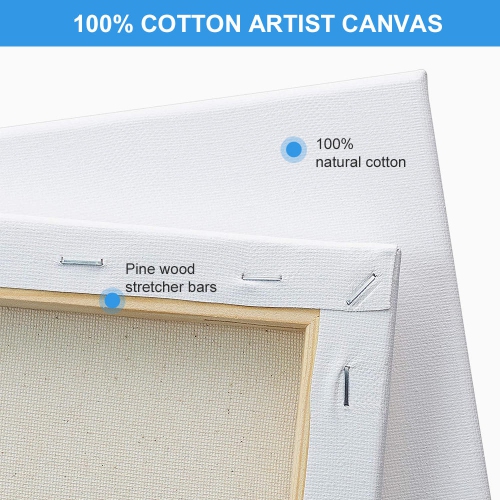 Students, Beginners, Professionals Painting Stretched Blank Canvas Set, 5 Sizes, 10/Pack