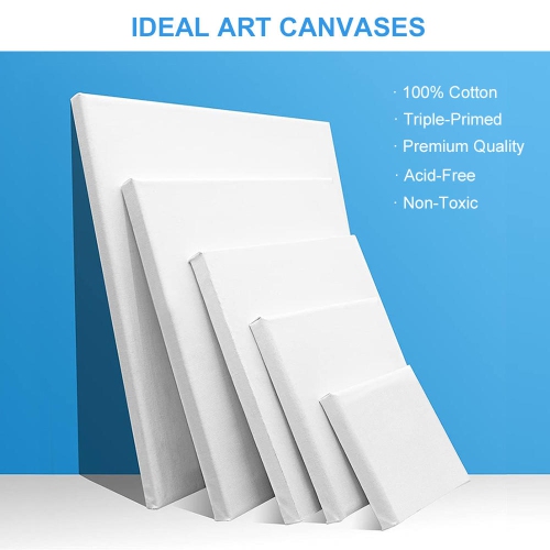 Students, Beginners, Professionals Painting Stretched Blank Canvas Set, 5 Sizes, 10/Pack