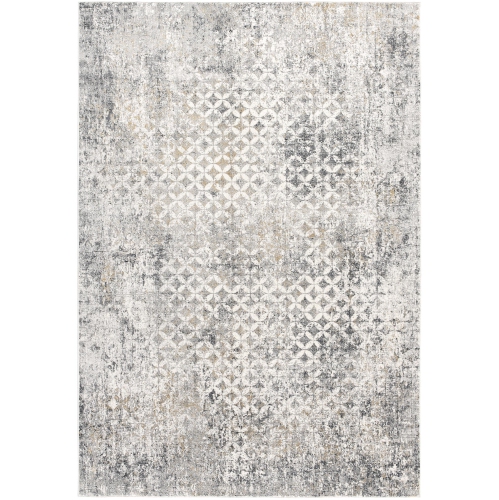 RUG BRANCH  Contemporary Moroccan Indoor Rug