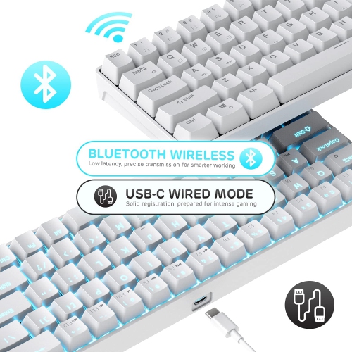 RK ROYAL KLUDGE RK68 Wireless Hot Swappable 65% Mechanical Keyboard, 60% 68 Keys Compact Bluetooth Gaming Keyboard with Stand-Alone Arrow/Control