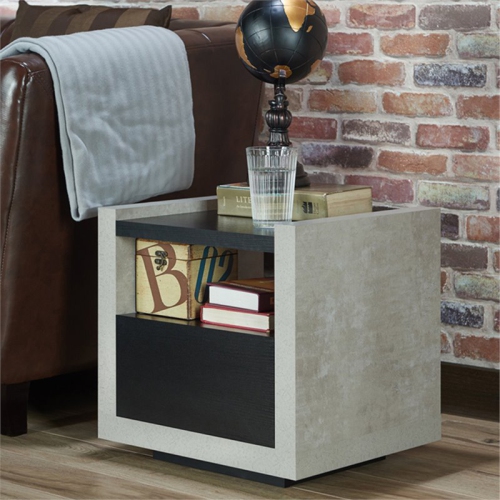 Bowery Hill Modern Wood Storage End Table in Black
