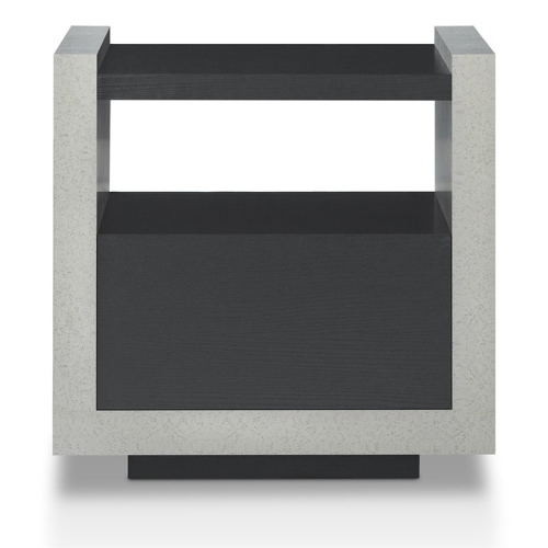 Bowery Hill Modern Wood Storage End Table in Black