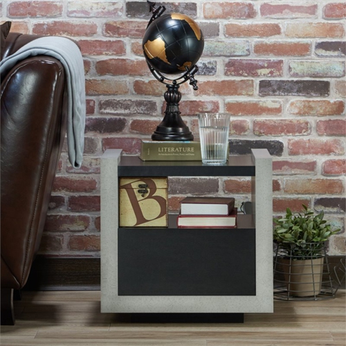 Bowery Hill Modern Wood Storage End Table in Black