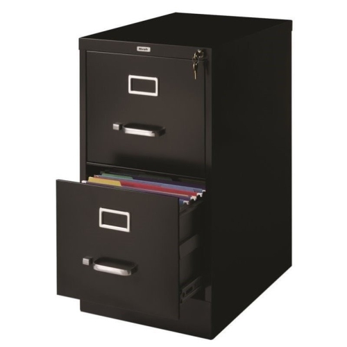 Scranton & Co 2 Drawer Letter File Cabinet in Black