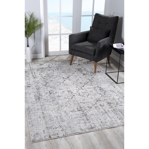 Rug Branch Transitional Moroccan Indoor Rug