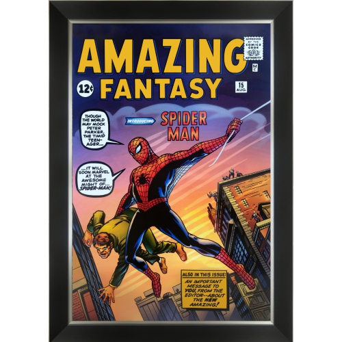 AUTOGRAPH AUTHENTIC  First Appearance Of Spiderman - Amazing Fantasy