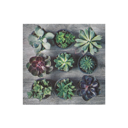 20 Pack Luncheon 3 Ply Napkin - Set of 6