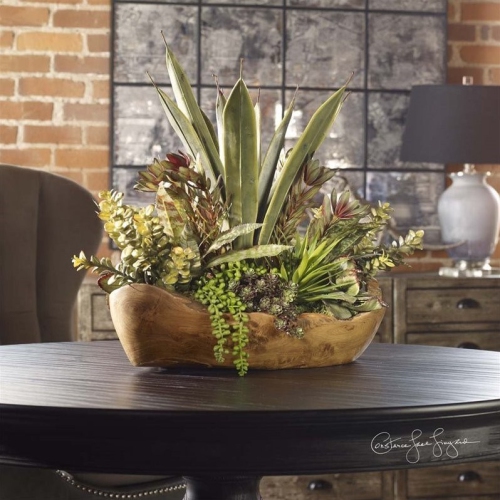 BOWERY HILL  Contemporary Salar Succulents In Teak Bowl