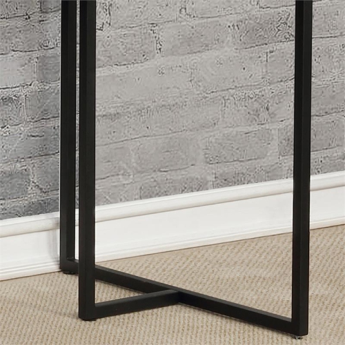 Furniture of America Timor Modern Wood Computer Desk with USB in Black