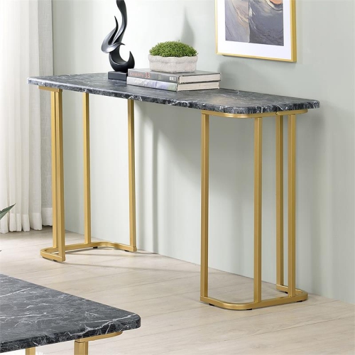 Furniture of America Clotten Contemporary Metal Console Table in Black
