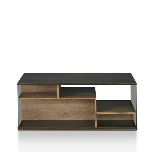 Bowery Hill Geometric Glass Panel Coffee Table in Oak and Black