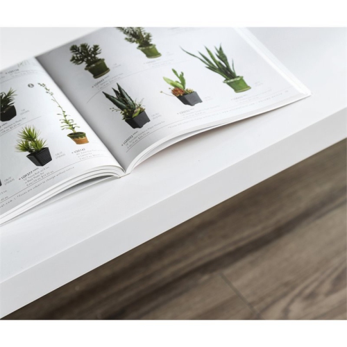 Bowery Hill Contemporary Wood Storage Console Table in White