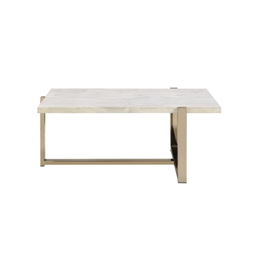 ACME Furniture Feit Coffee Table in Chrome and White