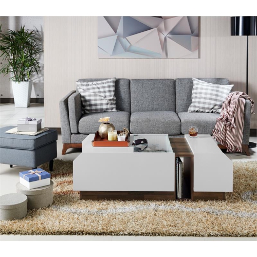 Furniture of America Plano Contemporary Wood Storage Coffee Table in White