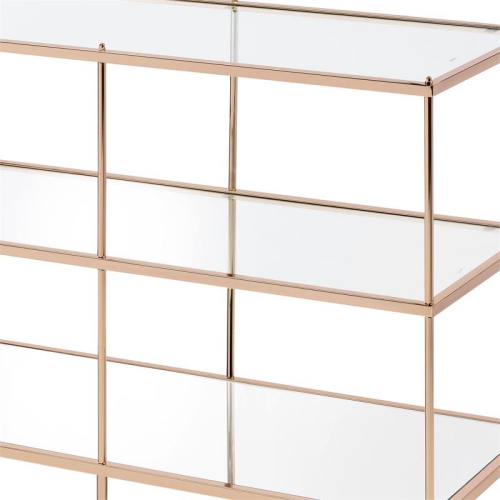 Furniture of America Mendry Metal 2-Shelf Console Table in Champagne