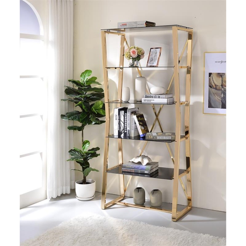 Furniture of America Abair Contemporary Glass Shelves Bookcase in Gold