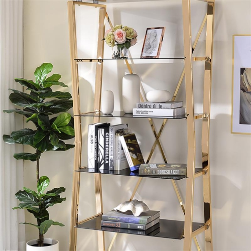 Furniture of America Abair Contemporary Glass Shelves Bookcase in Gold