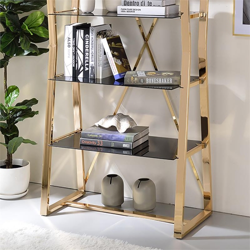 Furniture of America Abair Contemporary Glass Shelves Bookcase in Gold