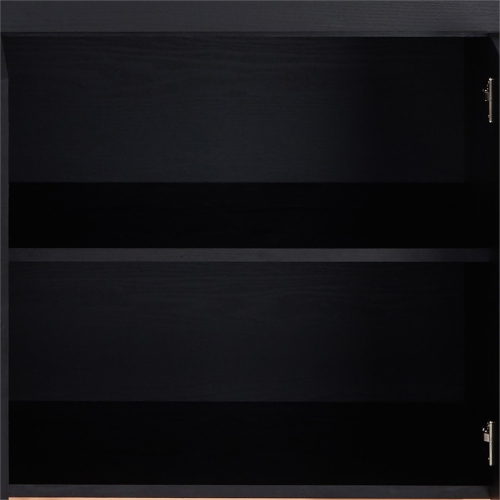 Furniture of America Coloma Wood 2-Drawer Buffet Server in Black and Chrome