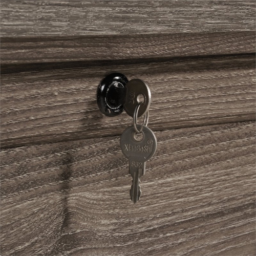 Pemberly Row Contemporary Wood Lateral File Cabinet in Oak