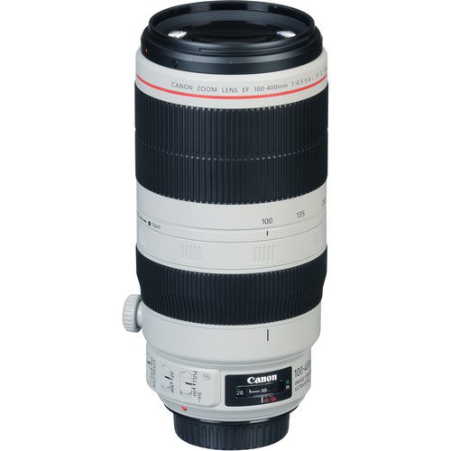 Canon EF 100-400mm f/4.5-5.6L is II USM Zoom Lens International