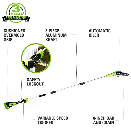 Scie à élaguer sans fil Greenworks, 24 V, 8 po, outil seulement, PS24B00