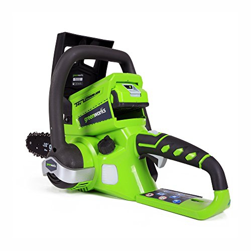Greenworks 24V 10" Chainsaw, 2.0Ah USB Battery and Charger