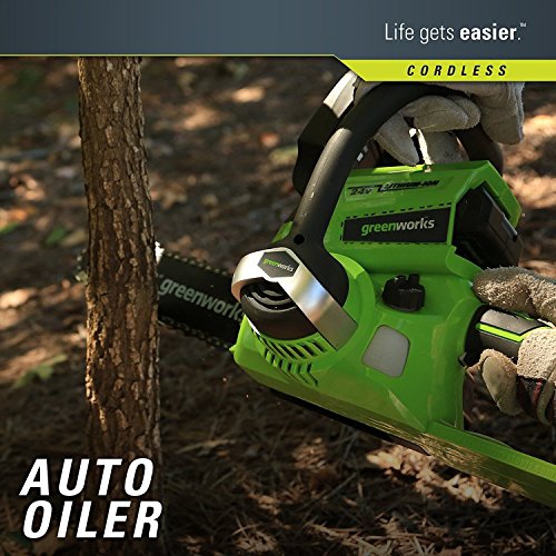 Greenworks 24V 10" Chainsaw, 2.0Ah USB Battery and Charger