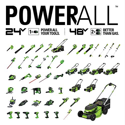 Greenworks 2000102 24V 10-Inch Cordless Chainsaw, Battery and Charger Not Included