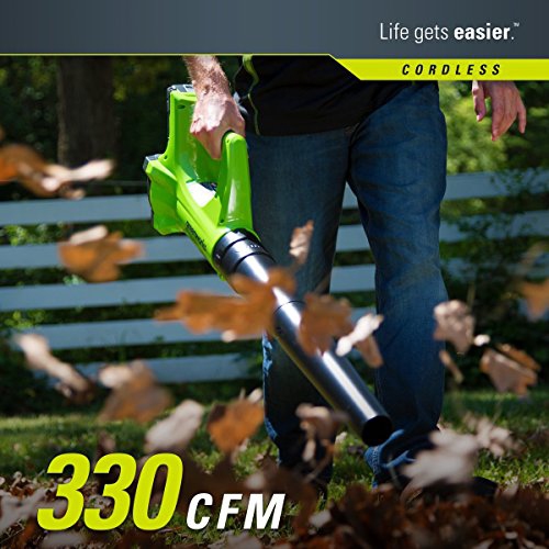 GREENWORKS  24V Cordless String Trimmer And Blower Combo Pack, 2Ah Battery And Charger Included Stba24B210