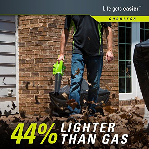 Greenworks 24V Cordless String Trimmer and Blower Combo Pack, 2Ah Battery and Charger Included STBA24B210