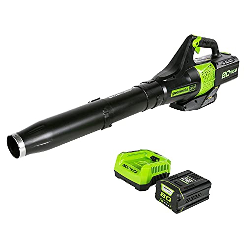 GREENWORKS  Pro 80V (145 Mph / 580 Cfm) Brushless Cordless Axial Leaf Blower, 2.5Ah Battery And Charger Included Bl80L2510 Pro 80v cordless leaf blower - works great!