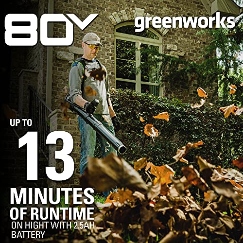 Greenworks Pro 80V Cordless Backpack Leaf Blower, 2.5Ah Battery and Charger Included BPB80L2510