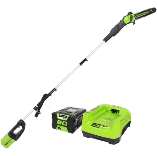 Buy deals pole saw