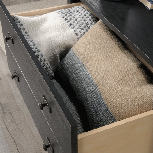 Pemberly Row 2 Drawer Wooden Storage Coffee Table in Raven Oak