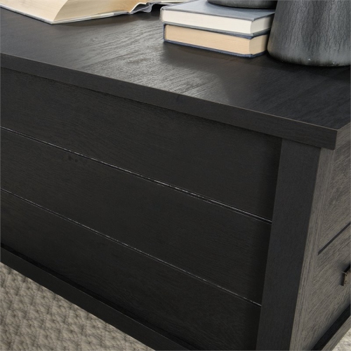 Pemberly Row 2 Drawer Wooden Storage Coffee Table in Raven Oak