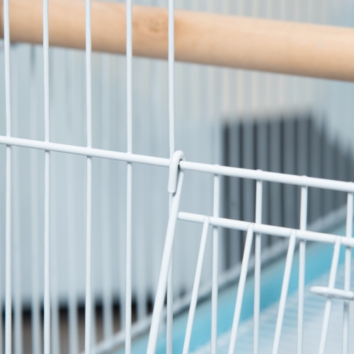 PawHut 55.1" 2 In 1 Bird Cage Aviary Parakeet House for finches, budgies with Wheels, Slide-out Trays, Wood Perch, Food Containers, Light Blue