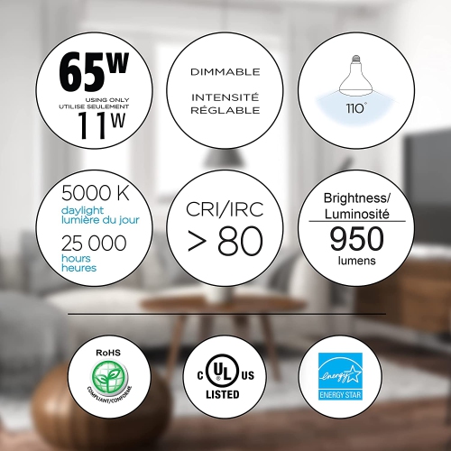 5235-11W 950 Lumens 5000K Dimmable Led Light Bulb-6 Pack, Br30, Daylight