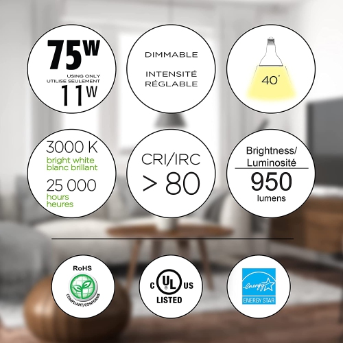 Flood-11W 850 Lumens 3000K Dimmable Led Light Bulb, Par30, Bright White (Pack of 6)