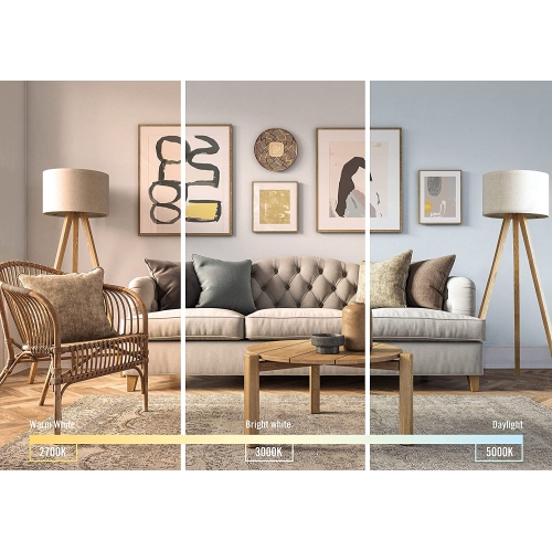 Flood-7W 550 Lumens Daylight 5000K Dimmable Led Light Bulb-6 Pack, Par20, Bright White