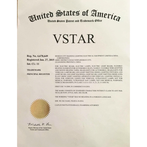 10pcs G9 Halogen Bulb, 40-Watt 120-Volt Base G9 Halogen Bulb,Pack of 10