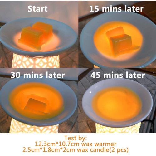 4 Pack Wax Warmer Bulbs,20 Watt Bulbs for Middle Size Scentsy Warmers,G30 Globe E12 Incandescent Candelabra Base Clear