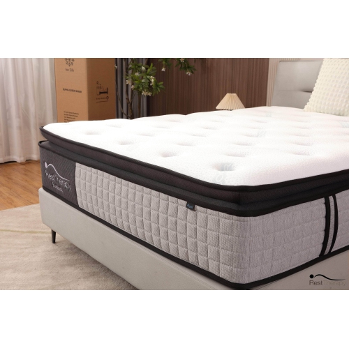 Rest Therapy 14 Inch Euphoria Cooling Pillow Top Plush Hybrid Pocket Coil Mattress with Cool Gel Memory Foam