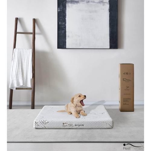 Rest Therapy 3 Inch Invigorate Bamboo Cool Gel Memory Foam Dog or Cat Bed Pet Mattress