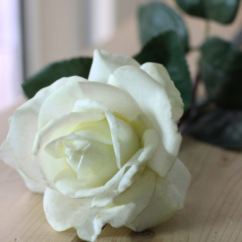 27" Cream White Long Stem Rose Artificial Floral Craft Pick