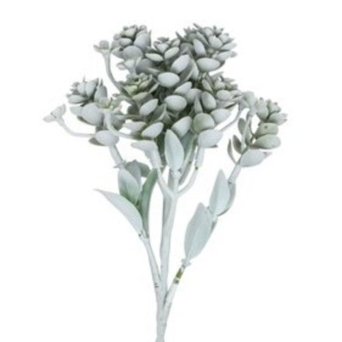11.75" White and Mint Green Sedum Artificial Christmas Spray