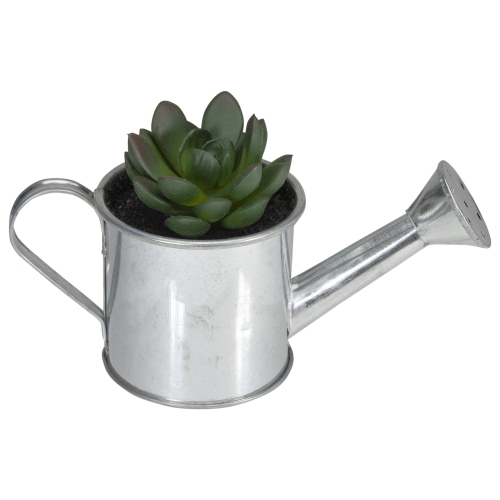 6" Artificial Mini Aloe Vera Succulent Plant with Watering Can