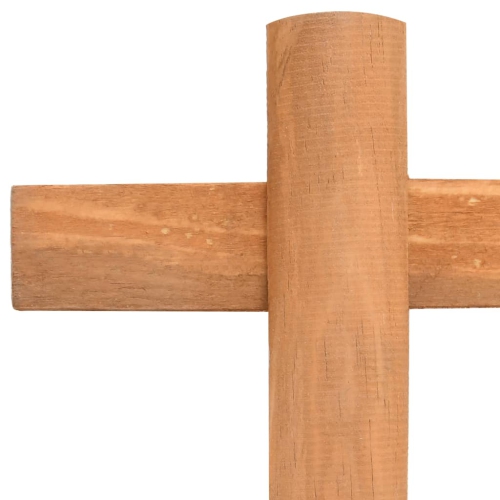 Bordure de pelouse VidaXL, 10 pièces, bois de firmwood, 14.4 pi